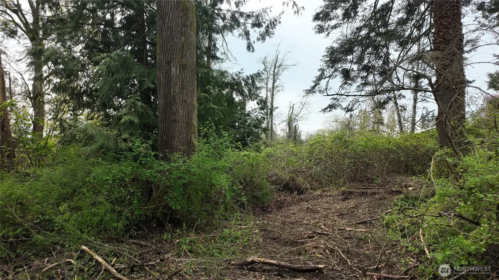 17584 Allen Road Bow, WA 98232