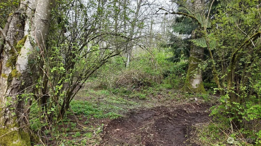 17584 Allen Road Bow, WA 98232
