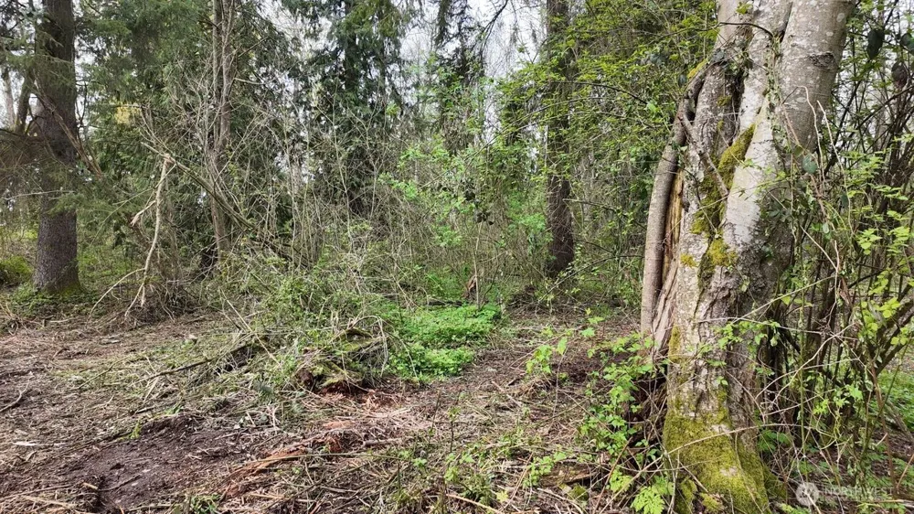 17584 Allen Road Bow, WA 98232