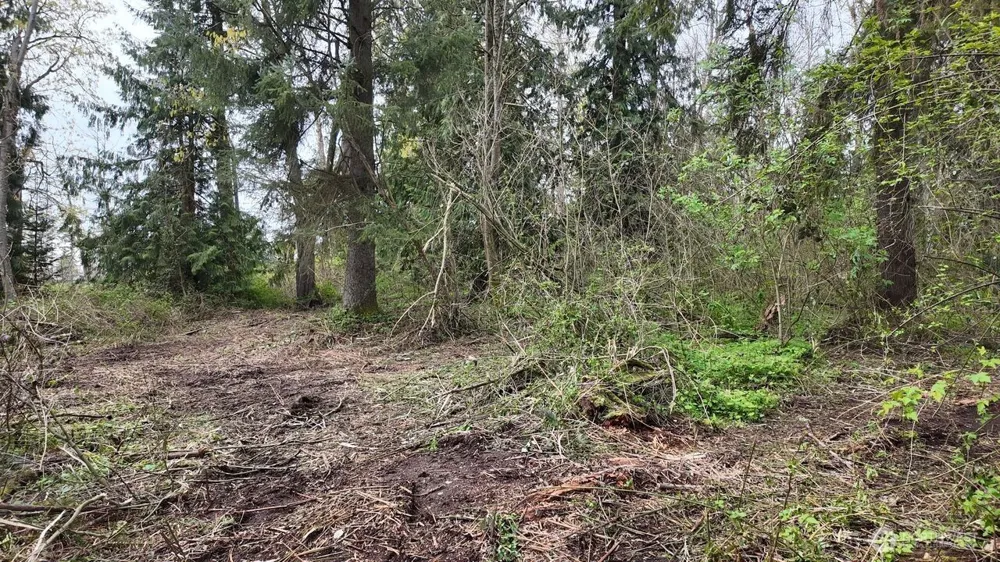 17584 Allen Road Bow, WA 98232