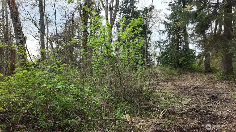 17584 Allen Road Bow, WA 98232