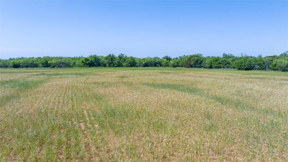 204 CR 180 Ovalo, TX 79541