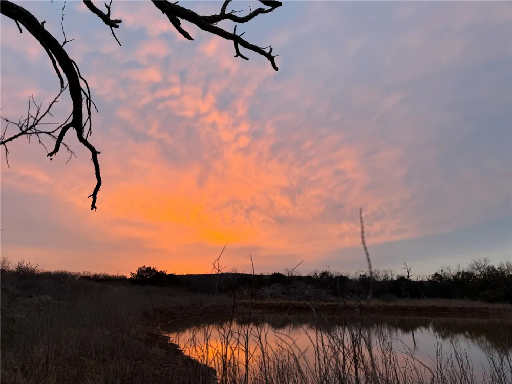 204 CR 180 Ovalo, TX 79541