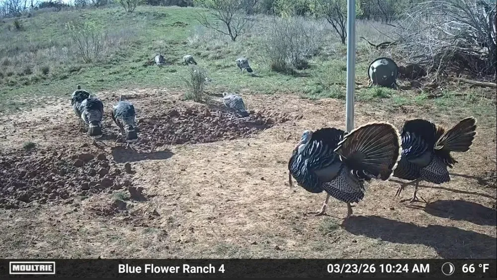 204 CR 180 Ovalo, TX 79541