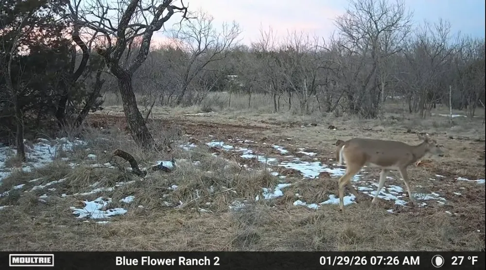 204 CR 180 Ovalo, TX 79541