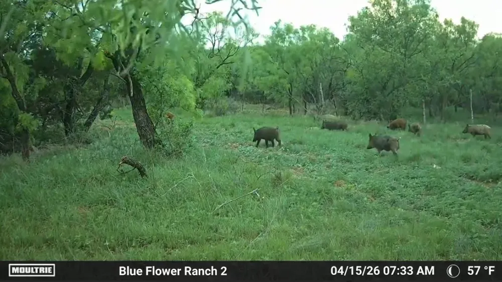 204 CR 180 Ovalo, TX 79541