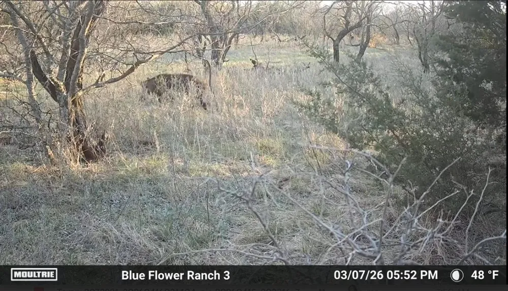204 CR 180 Ovalo, TX 79541