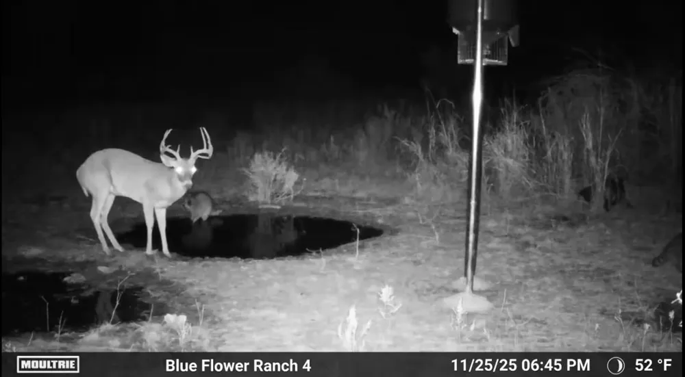 204 CR 180 Ovalo, TX 79541