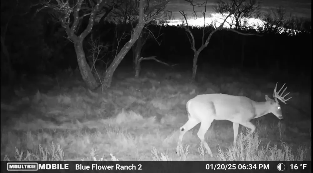 204 CR 180 Ovalo, TX 79541