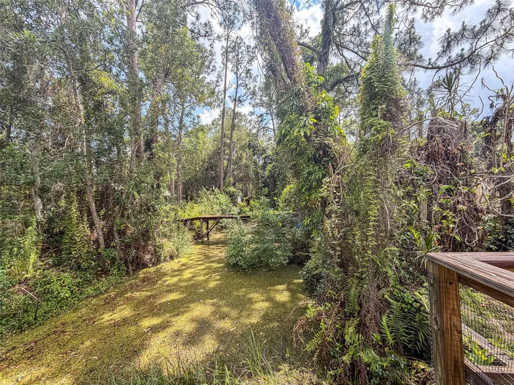 305 CLOVERLEAF ROAD Lake Placid, FL 33852
