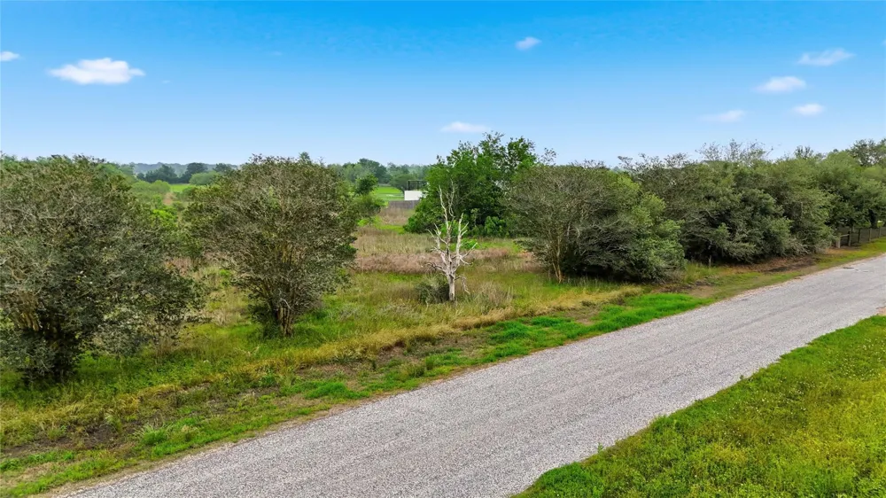 14433 Tierra Grande Drive Needville, TX 77461