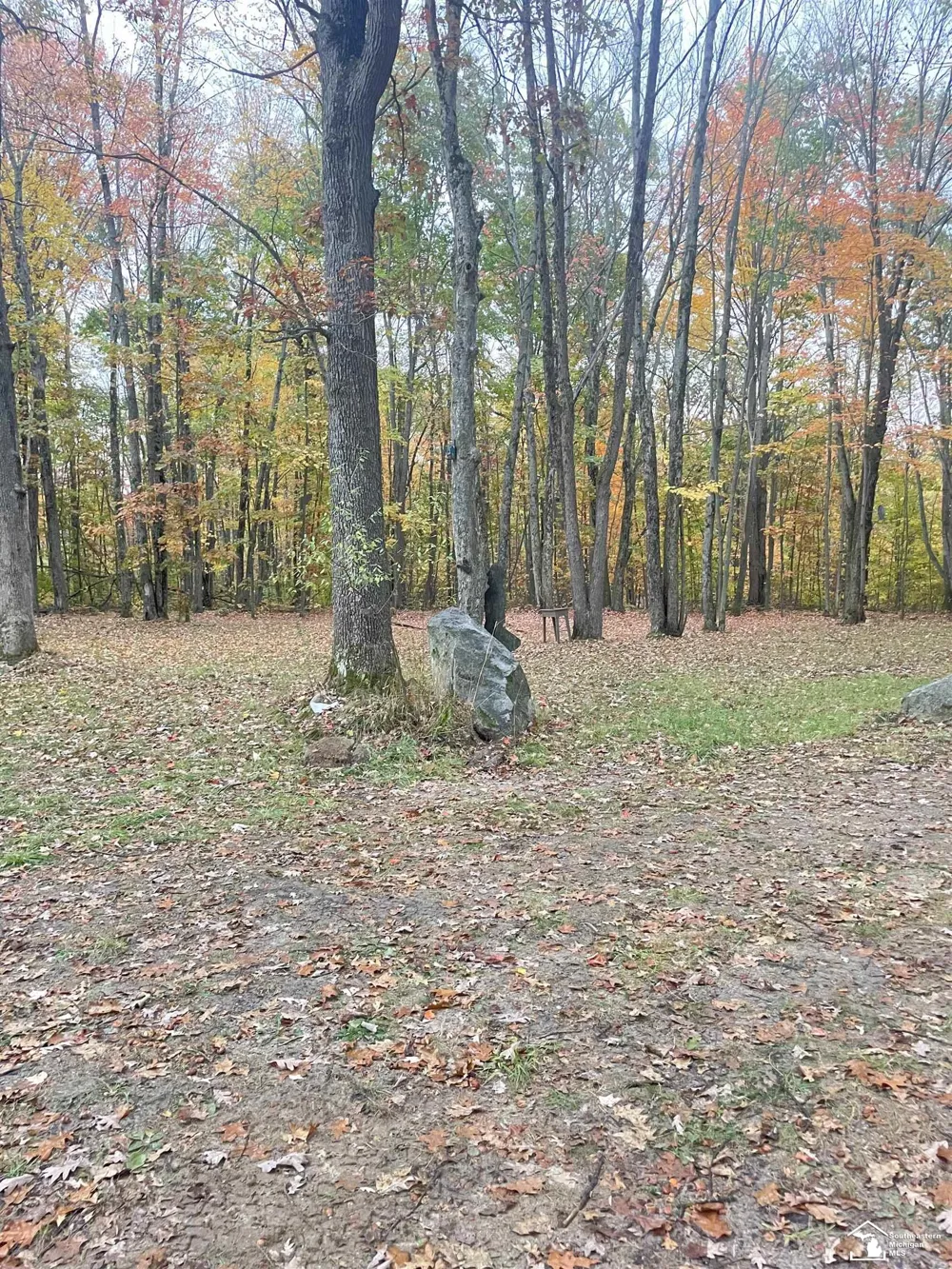 7180 Sherwood Trail Frost Township, MI 48625