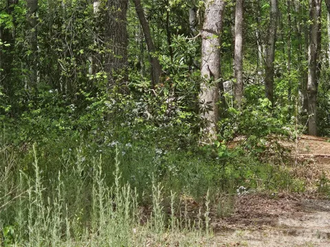 22 Graulich Lane #6