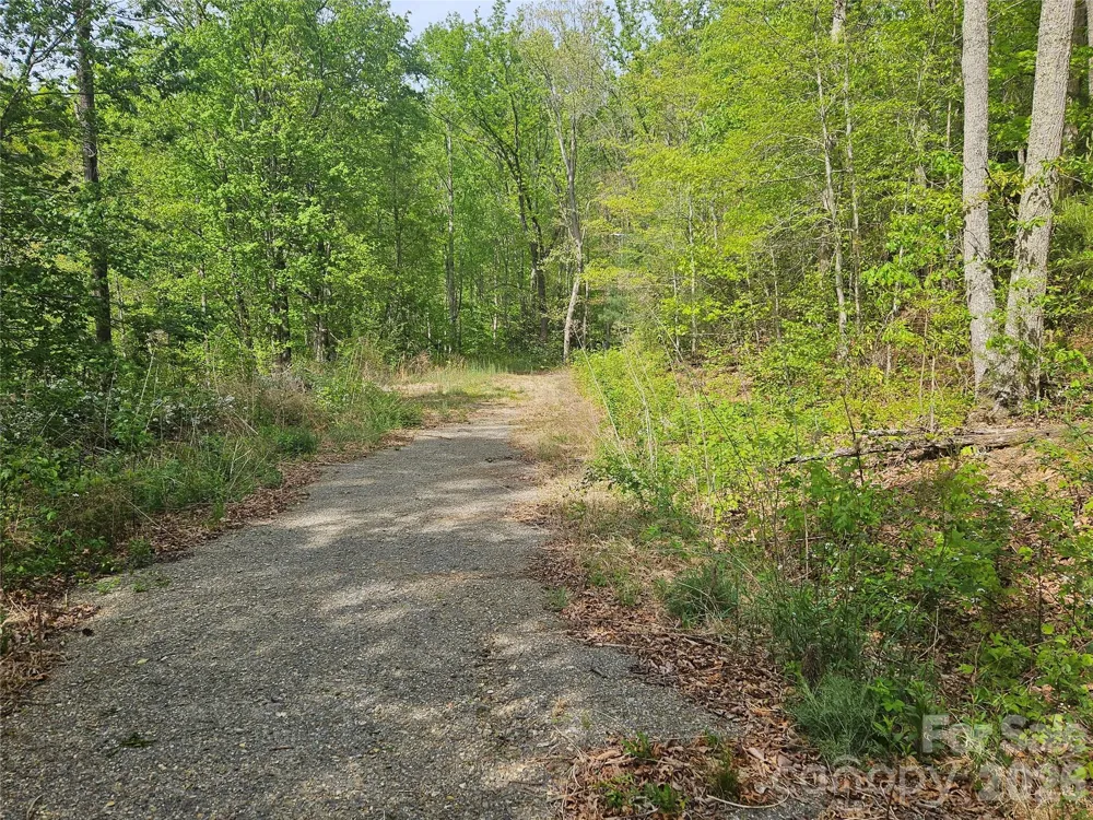 22 Graulich Lane #6 Candler, NC 28715