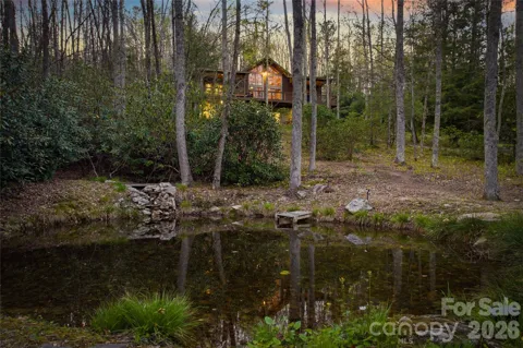163 Bear Track Lane