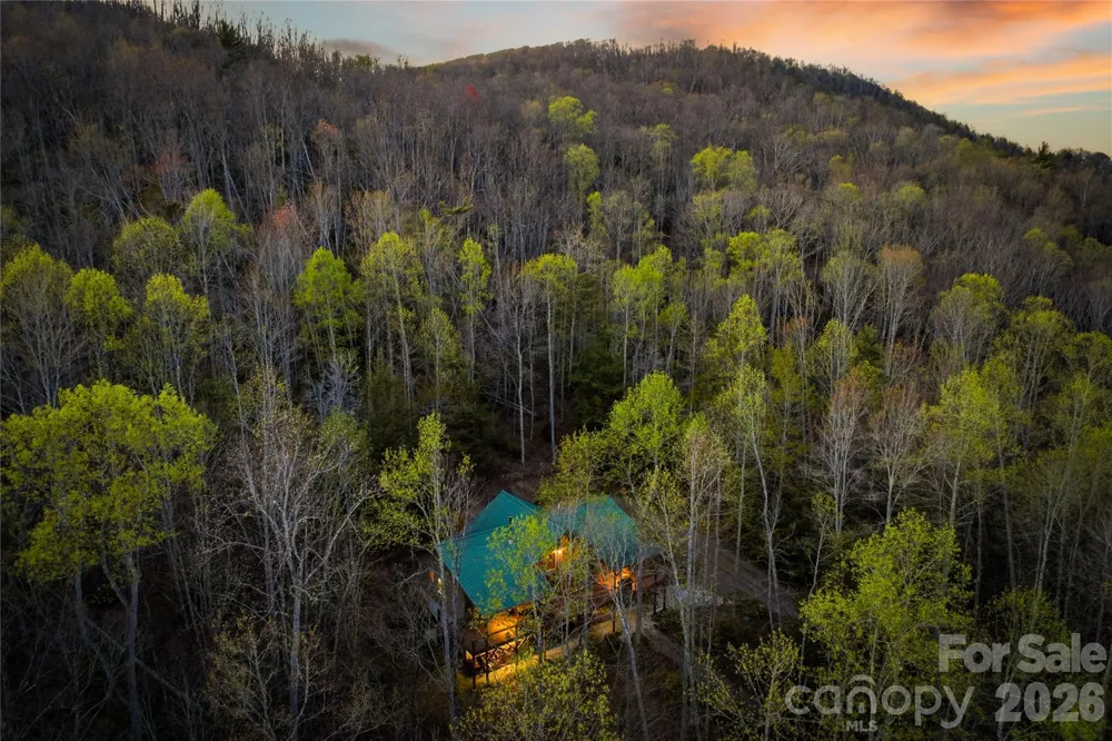 163 Bear Track Lane Vilas, NC 28692
