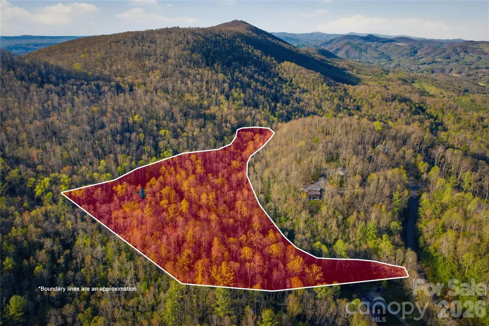 163 Bear Track Lane Vilas, NC 28692