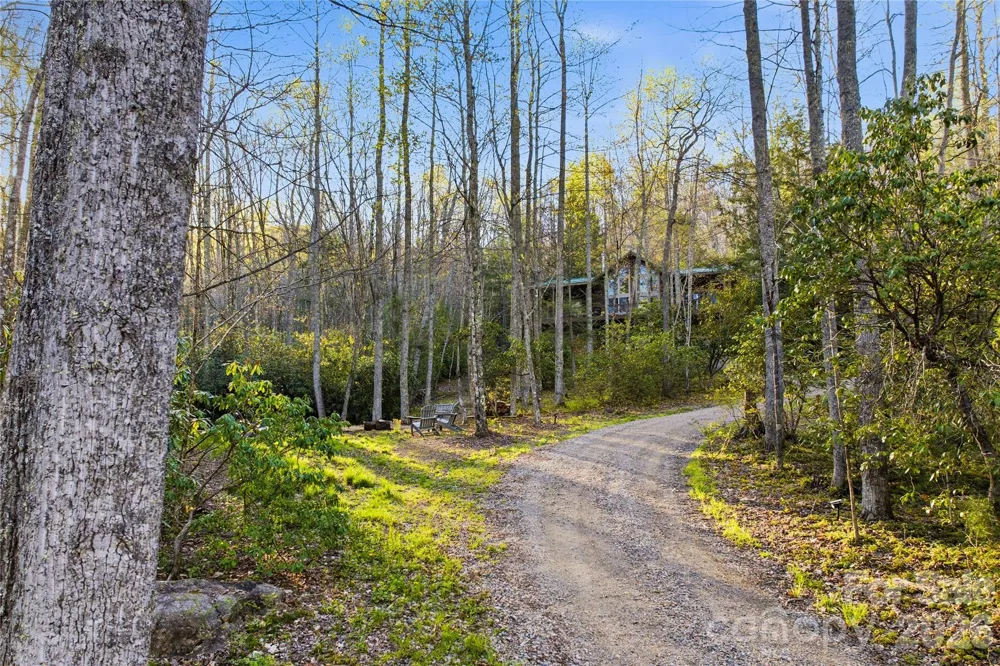 163 Bear Track Lane Vilas, NC 28692