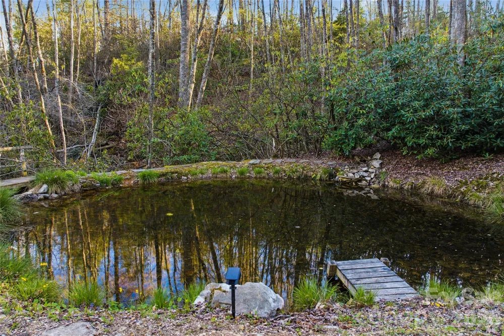 163 Bear Track Lane Vilas, NC 28692