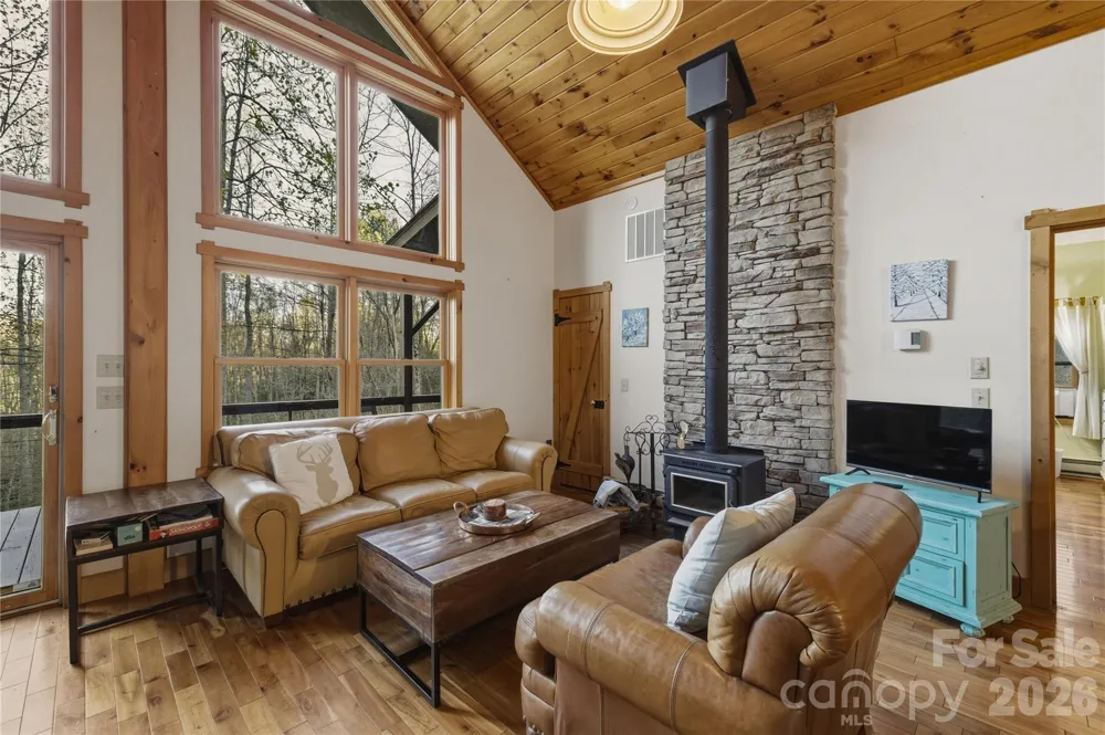 163 Bear Track Lane Vilas, NC 28692