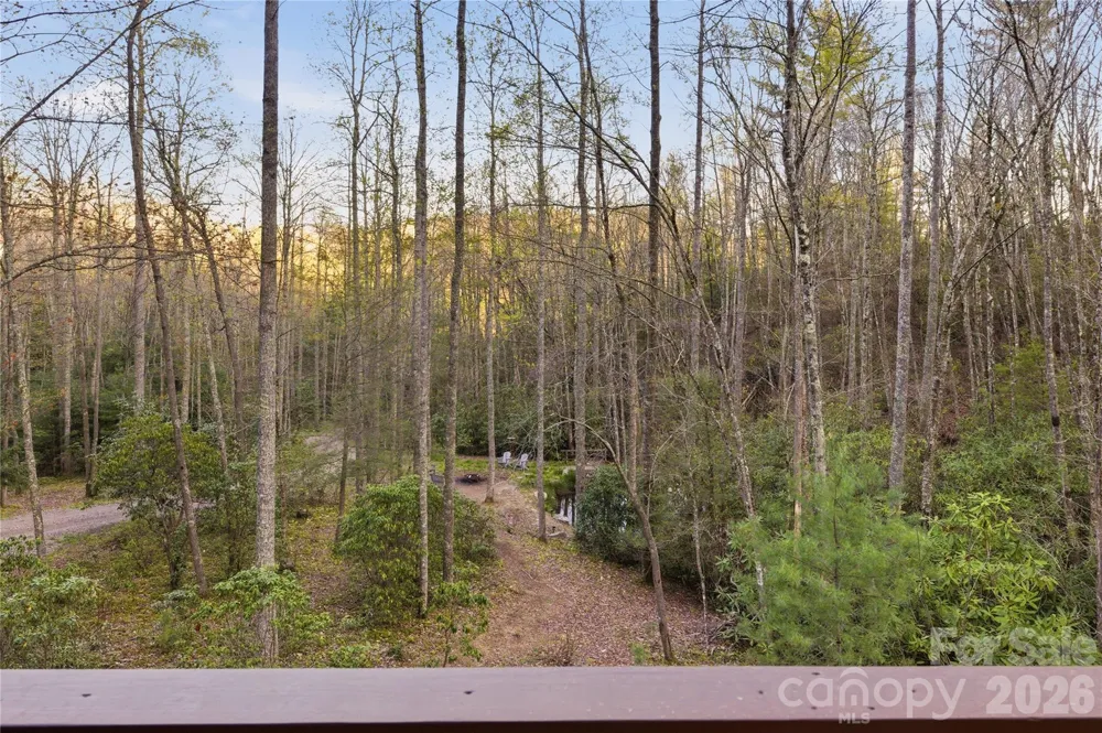 163 Bear Track Lane Vilas, NC 28692