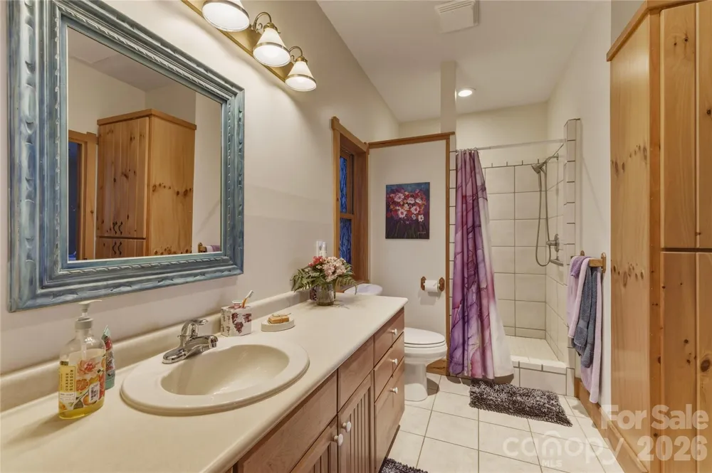 163 Bear Track Lane Vilas, NC 28692