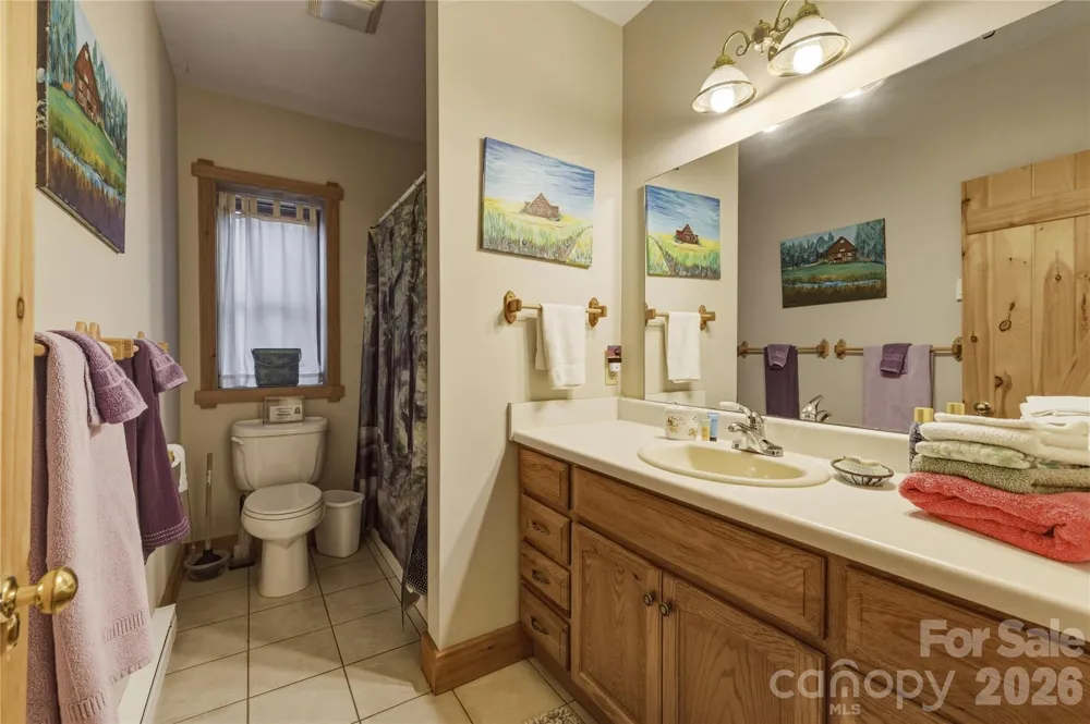 163 Bear Track Lane Vilas, NC 28692
