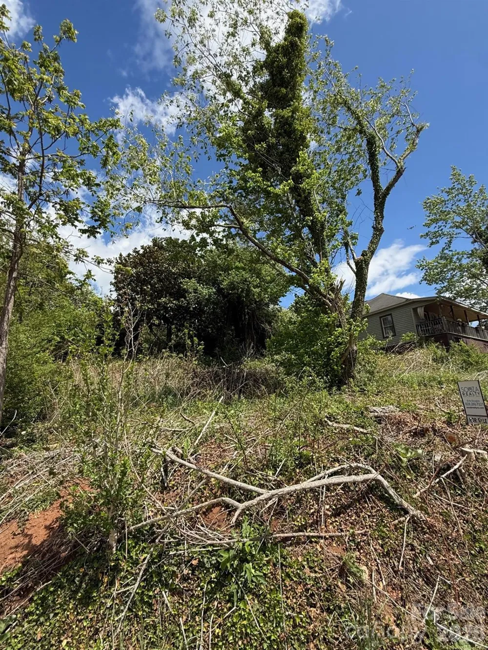 22 Clark Lane Canton, NC 28716