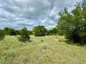 1145 Hidden Cove Trail Glen Rose, TX 76043
