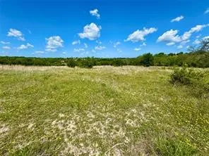 1145 Hidden Cove Trail Glen Rose, TX 76043