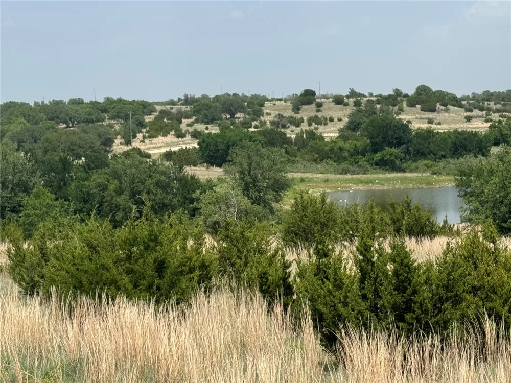 1145 Hidden Cove Trail Glen Rose, TX 76043