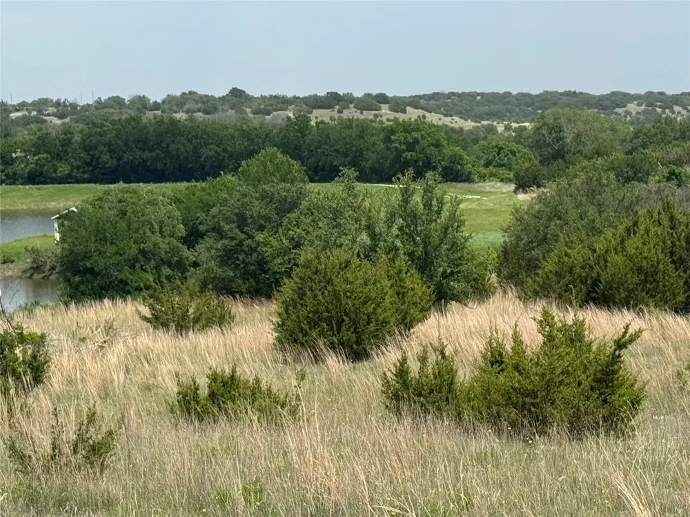 1145 Hidden Cove Trail Glen Rose, TX 76043