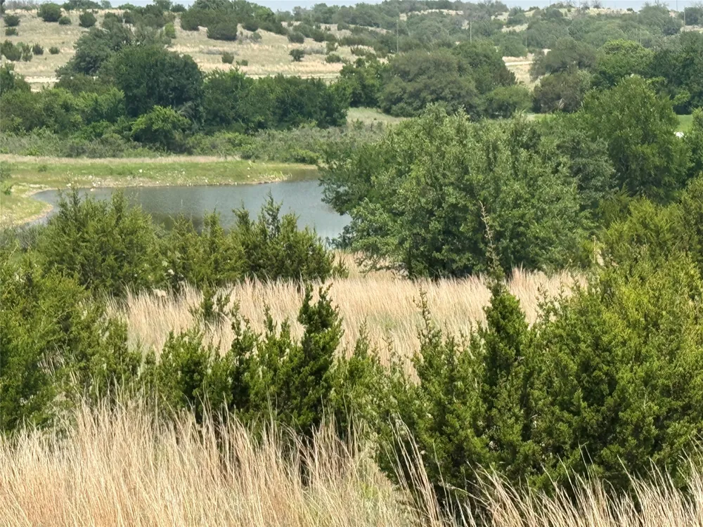 1145 Hidden Cove Trail Glen Rose, TX 76043