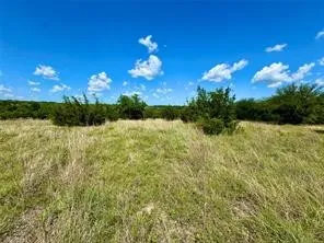 1145 Hidden Cove Trail Glen Rose, TX 76043