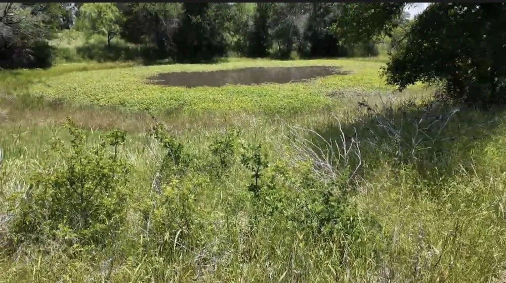 932 Fm 3137 Palo Pinto, TX 76484