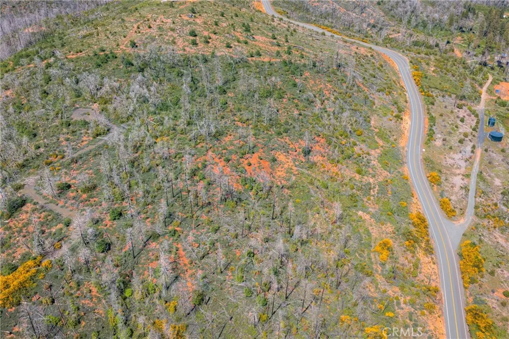 Pavlik Pines Road Berry Creek, CA 95916