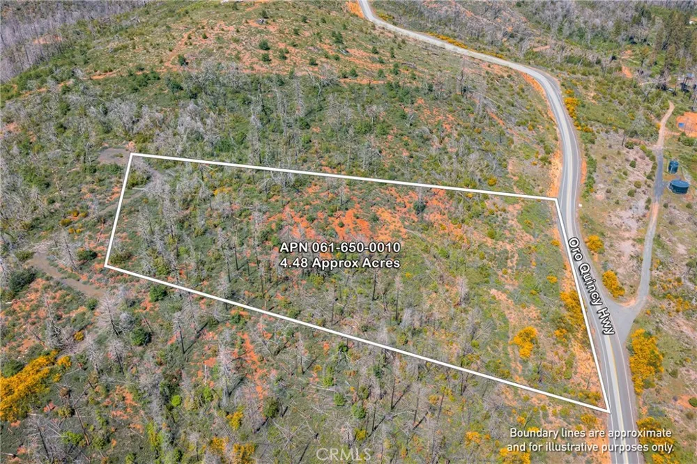 Pavlik Pines Road Berry Creek, CA 95916