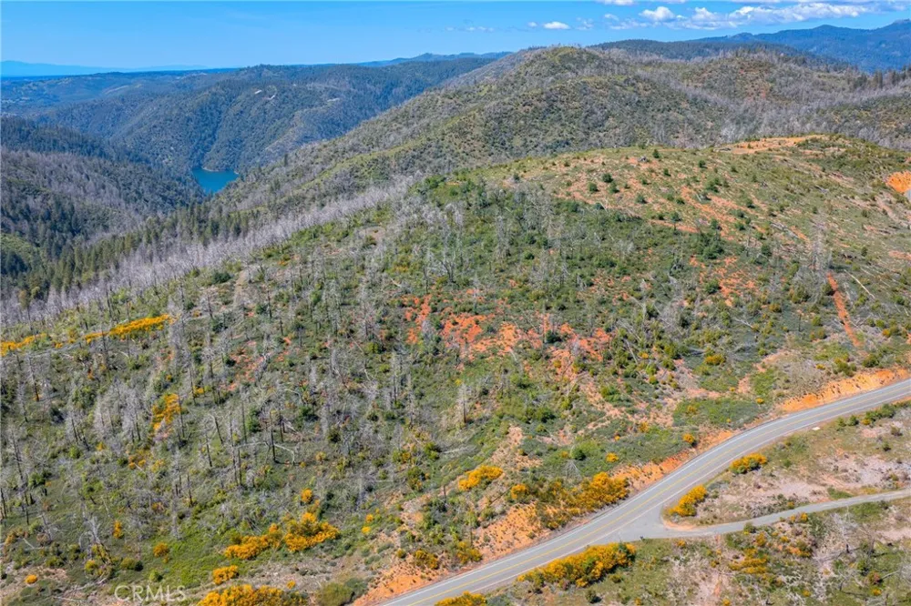 Pavlik Pines Road Berry Creek, CA 95916