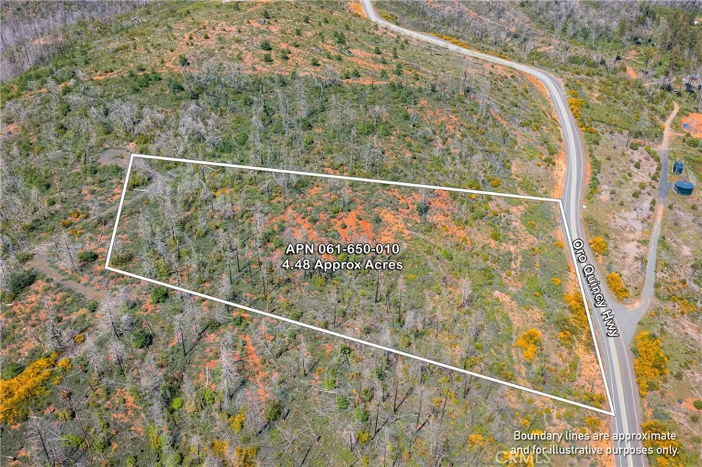 Pavlik Pines Road Berry Creek, CA 95916