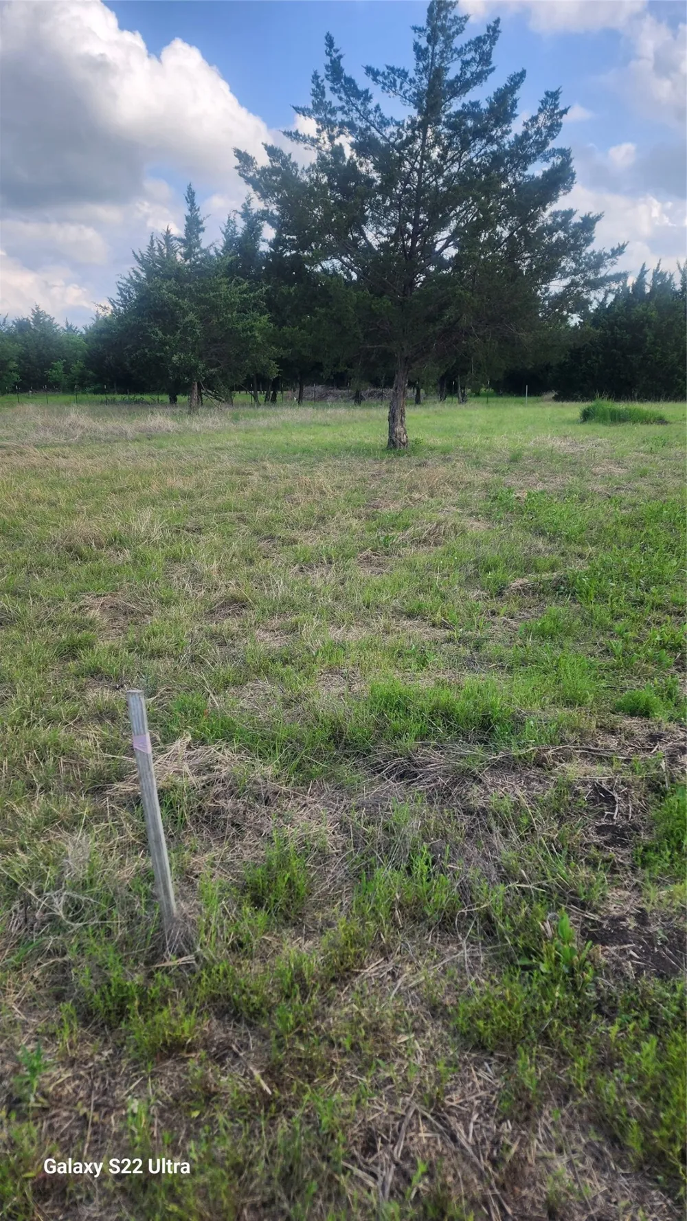 147 W Woodell Drive Glenn Heights, TX 75154