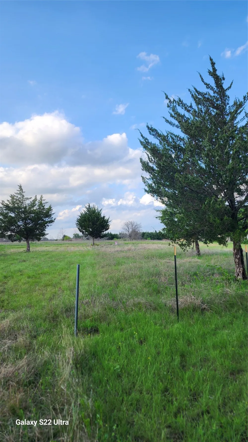 147 W Woodell Drive Glenn Heights, TX 75154