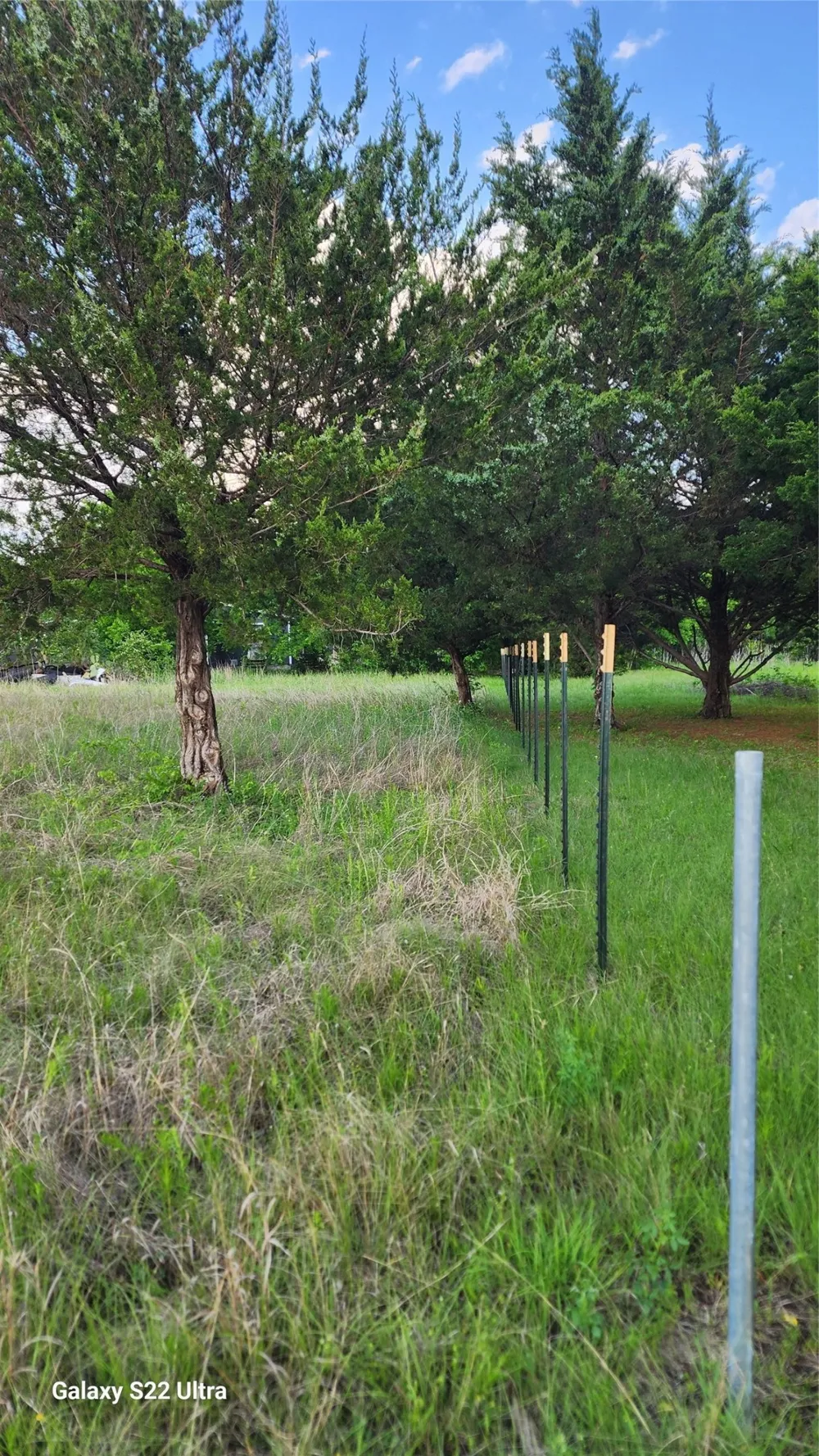 147 W Woodell Drive Glenn Heights, TX 75154