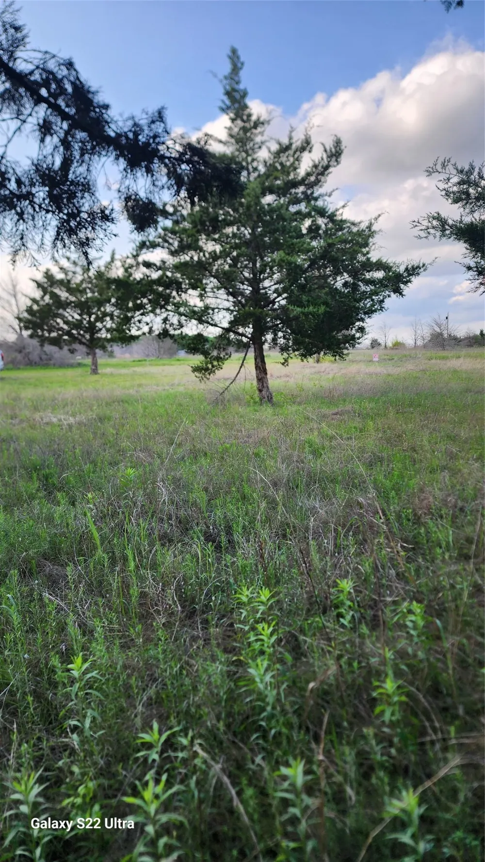 147 W Woodell Drive Glenn Heights, TX 75154