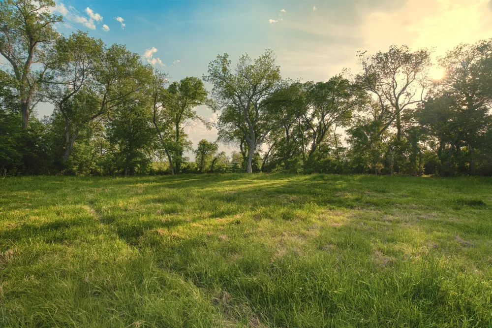Cr 433 Lorena, TX 76655
