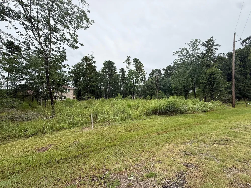 74 Forest Hollow, Trinity, TX 75862