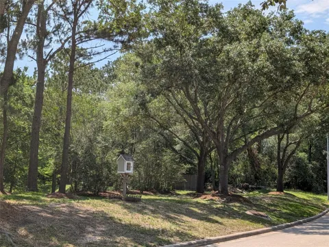 16103 Wimbledon Forest Drive