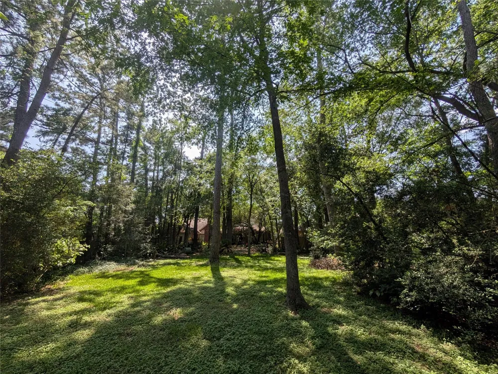 16103 Wimbledon Forest Drive Spring, TX 77379