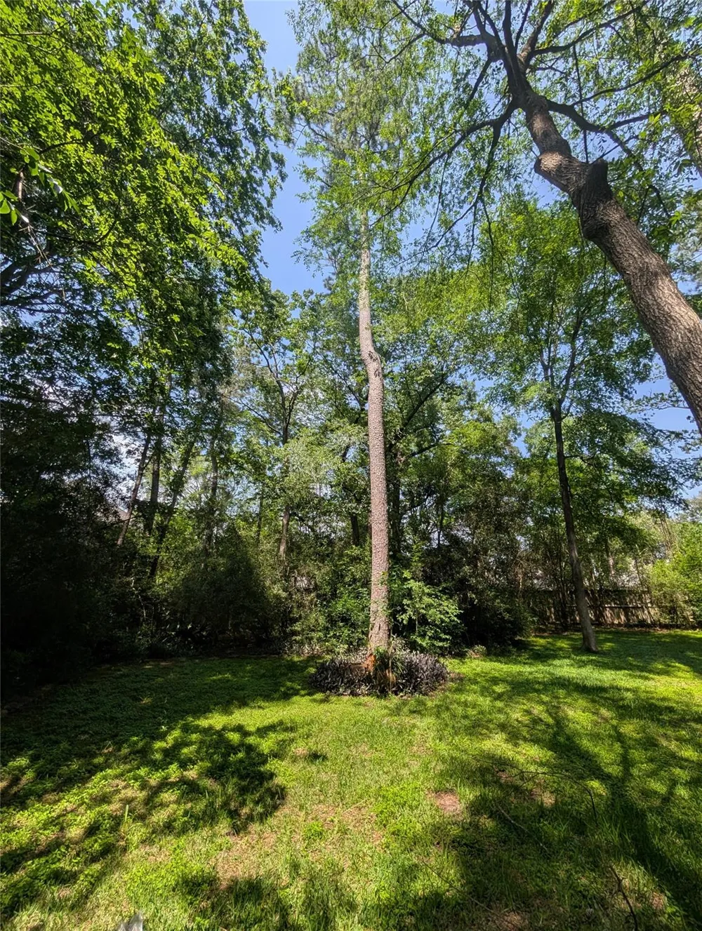 16103 Wimbledon Forest Drive Spring, TX 77379