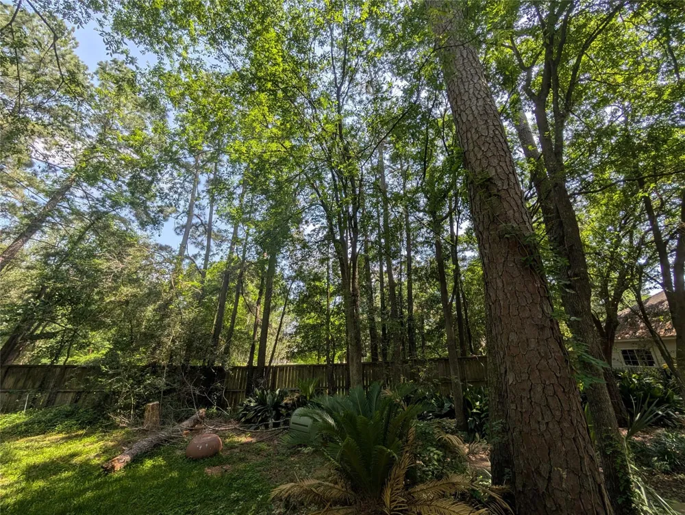 16103 Wimbledon Forest Drive Spring, TX 77379