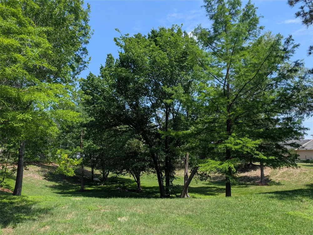 16103 Wimbledon Forest Drive Spring, TX 77379